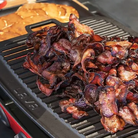 トーン ブリストル 4* ベルゲン